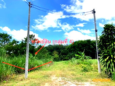 Land for sale : LAND 206 Sq.w. Chaiburi Surat Thani for 1.3M