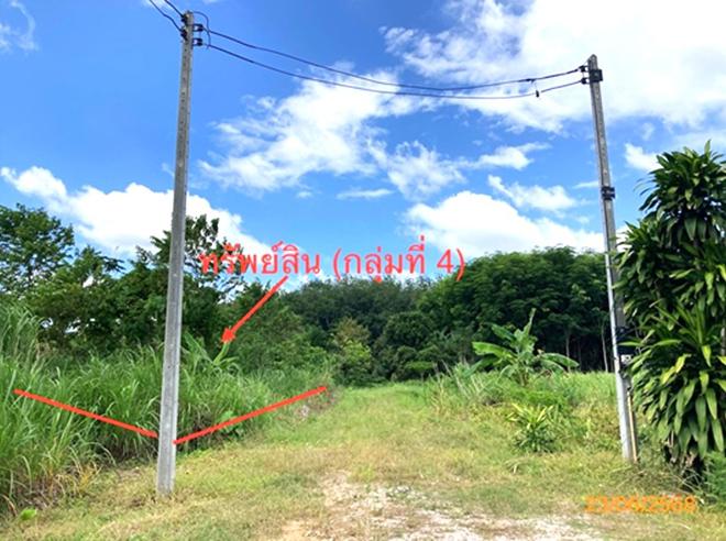 picture LAND 206 Sq.w. Chaiburi Surat Thani for 1.3M - 1/43