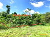 listing thumbnail image 30