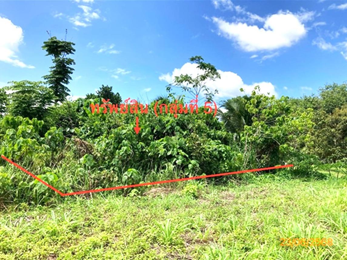picture LAND 206 Sq.w. Chaiburi Surat Thani for 1.3M - 31/43