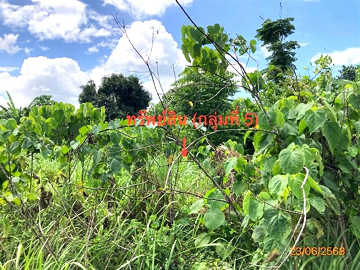 picture LAND 206 Sq.w. Chaiburi Surat Thani for 1.3M - 38/43