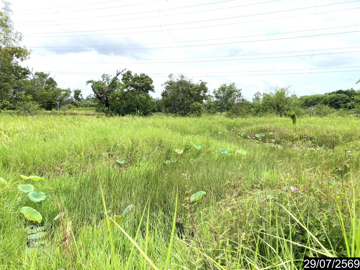 รูป ที่ดินว่างเปล่า 839.2 ตร.วา เมืองอุดรธานี อุดรธานี 1.7M - รูปที่ 17/25