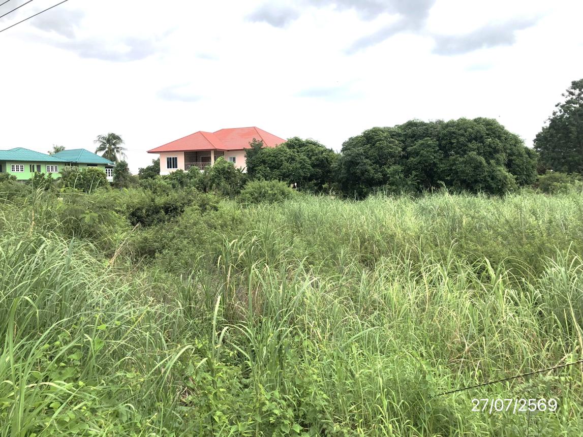 picture LAND 1440 Sq.w. Muang Sukhothai Sukhothai for 8.7M - 29/33