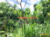 listing thumbnail image 35