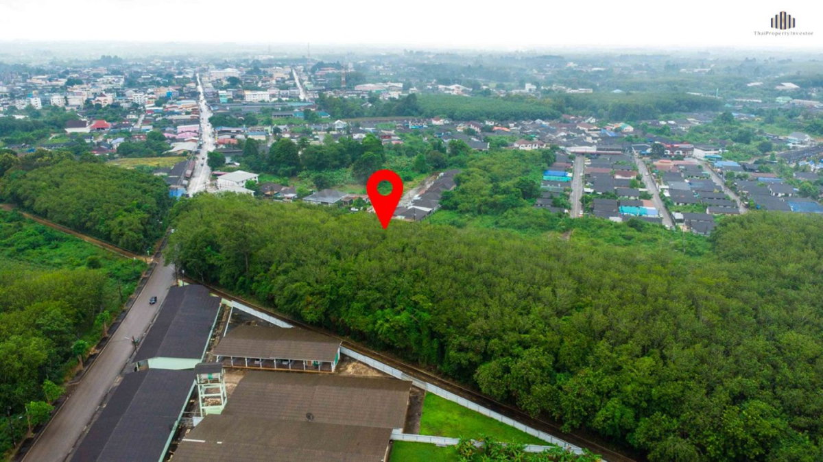 รูป โอกาสทองของนักลงทุนรายย่อย ขาย ที่ดินทำเลแกลง 5 ไร่ ครึ่ง ติดถนน มาบใหญ่ ทางเกวียน อำเภอแกลง ระยองพร้อมต่อยอดเป็นโครงการขนาดเล็ก - รูปที่ 16/19