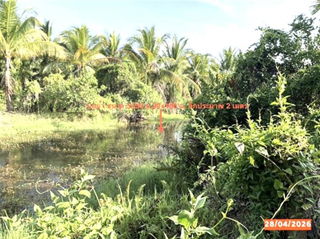 รูป โกดัง 3560.6 ตร.วา เชียรใหญ่ นครศรีธรรมราช 3.7M - รูปที่ 9/21
