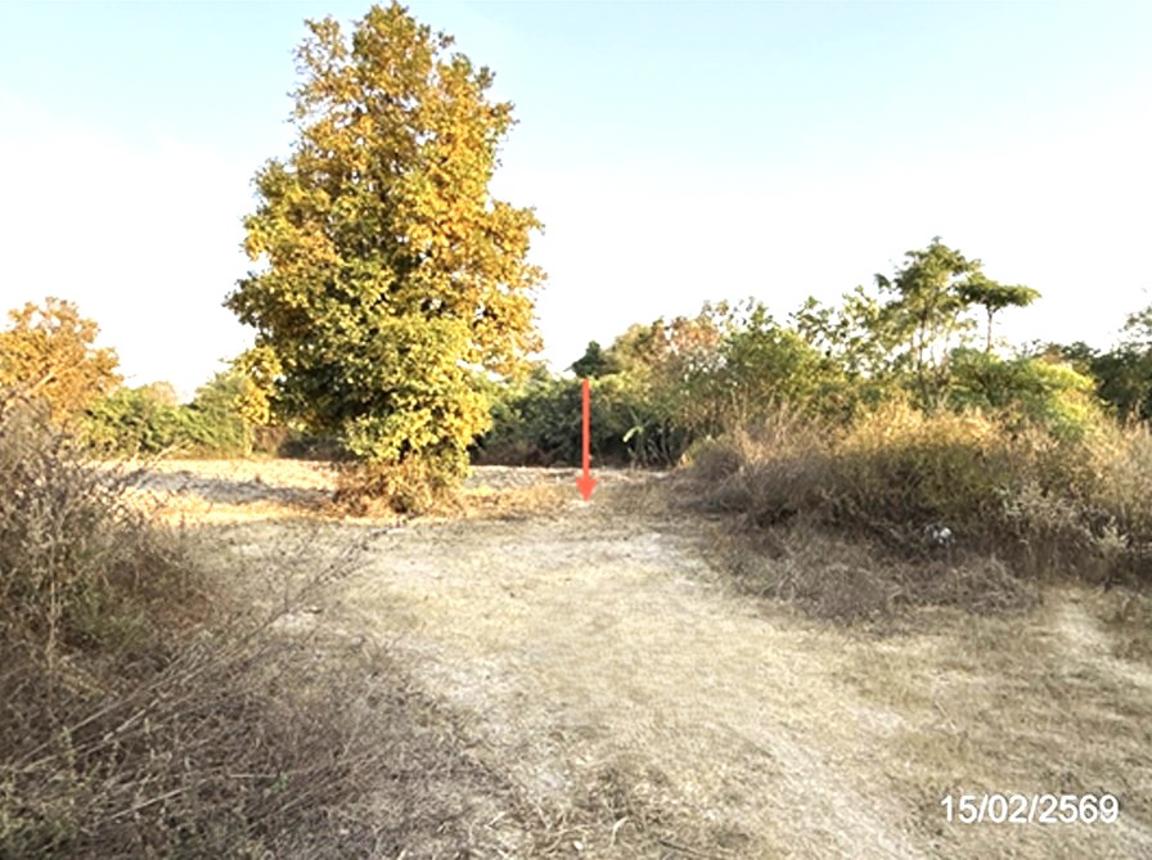 รูป ที่ดินว่างเปล่า 1002 ตร.วา สว่างวีระวงศ์ อุบลราชธานี 2M - รูปที่ 16/23