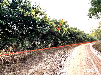 ที่ดิน สว่างวีระวงศ์ อุบลราชธานี : ที่ดินว่างเปล่า 1002 ตร.วา สว่างวีระวงศ์ อุบลราชธานี 2M