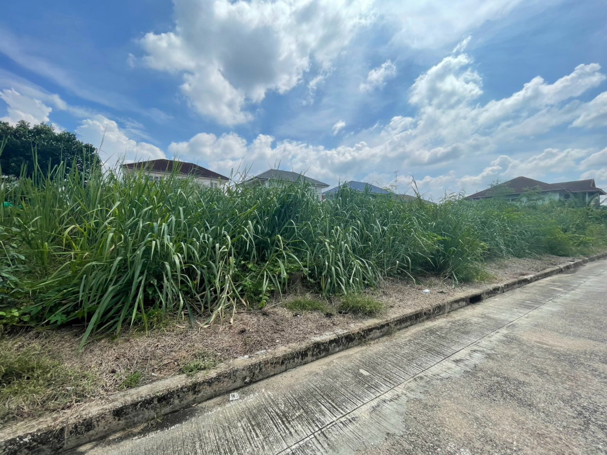 รูป ขายที่ดินเปล่าสองแปลงติดกัน หมู่บ้านวรารมย์ 69 เนื้อที่รวม 140.1 ตรว .(แปลงละ70 ตรว.) - รูปที่ 3/6