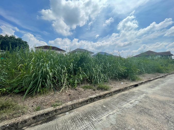ขายที่ดิน 140 ตร.ว. เขตหนองแขม