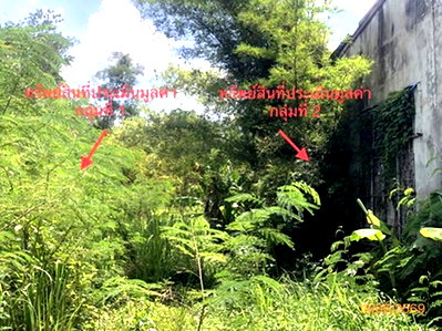 Land for sale Chaiburi Surat Thani : LAND 1854 Sq.w. Chaiburi Surat Thani for 10.2M