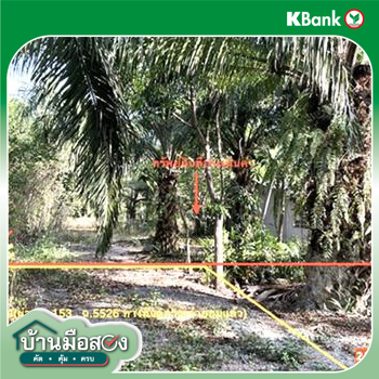 รูป โกดัง 3560.6 ตร.วา เชียรใหญ่ นครศรีธรรมราช 3.7M - รูปที่ 19/21
