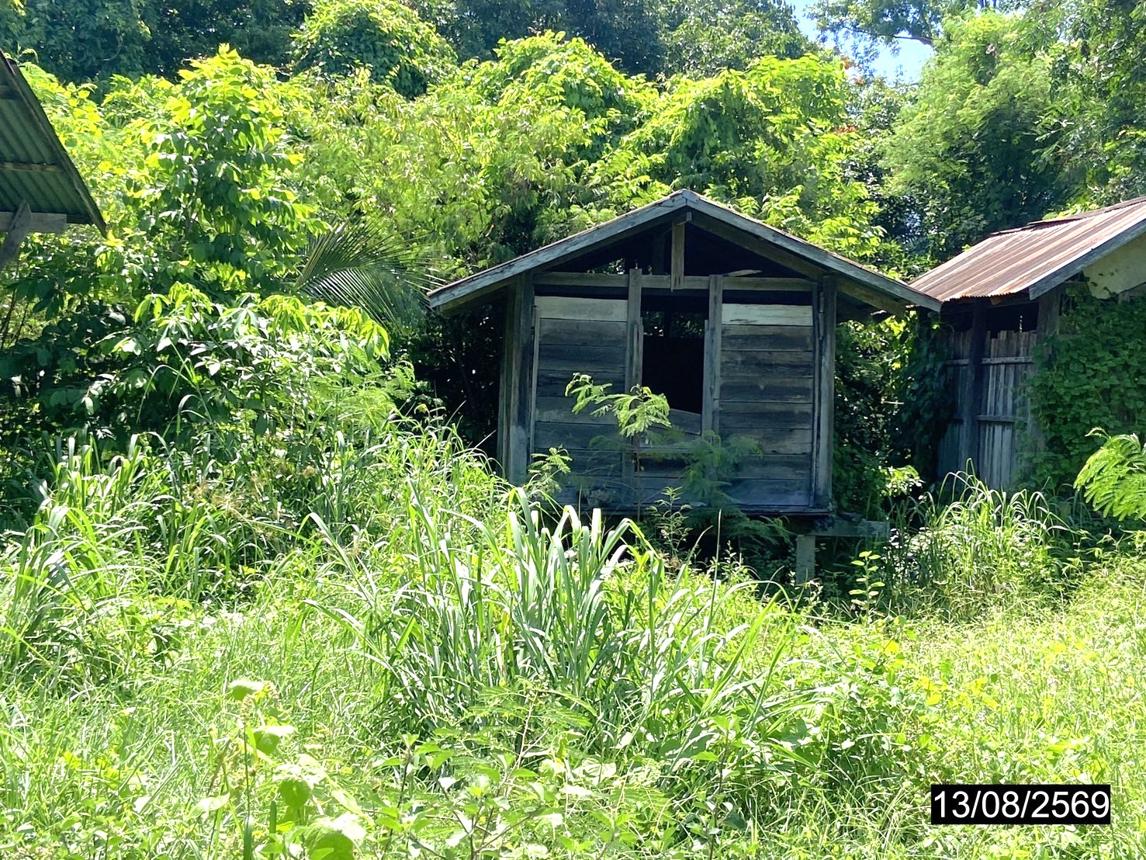 รูป บ้านเดี่ยว 729 ตร.วา ศรีธาตุ อุดรธานี 1.8M - รูปที่ 28/35