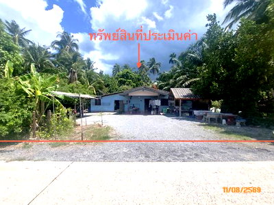บ้านเดี่ยว สุราษฎร์ธานี : บ้านเดี่ยว 320 ตร.วา ดอนสัก สุราษฎร์ธานี 1.5M