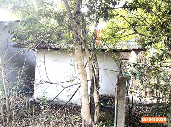 รูป โกดัง 3560.6 ตร.วา เชียรใหญ่ นครศรีธรรมราช 3.7M - รูปที่ 6/21
