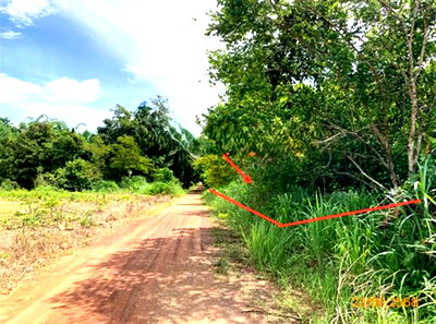LAND 185 Sq.w. Chaiburi Surat Thani for 1.2M