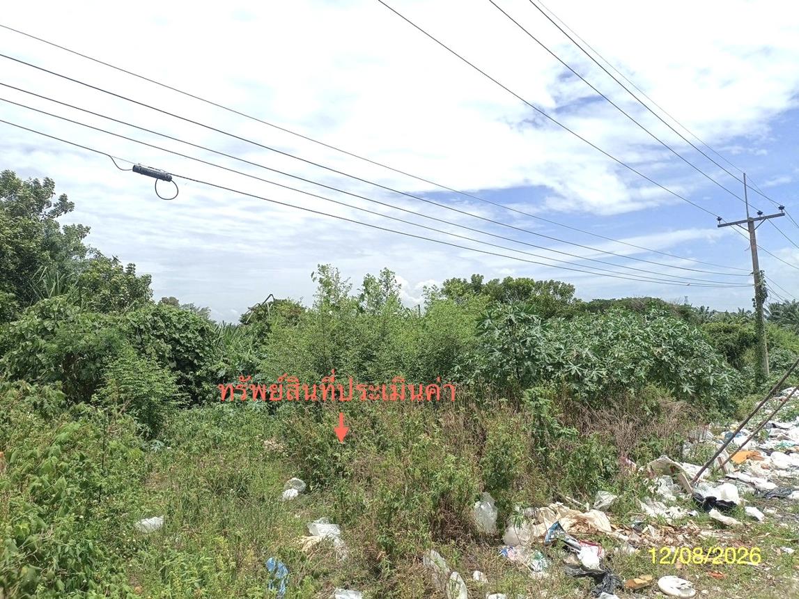 รูป ที่ดินว่างเปล่า 110 ตร.วา เมืองนครศรีธรรมราช นครศรีธรรมราช 1.6M - รูปที่ 13/19