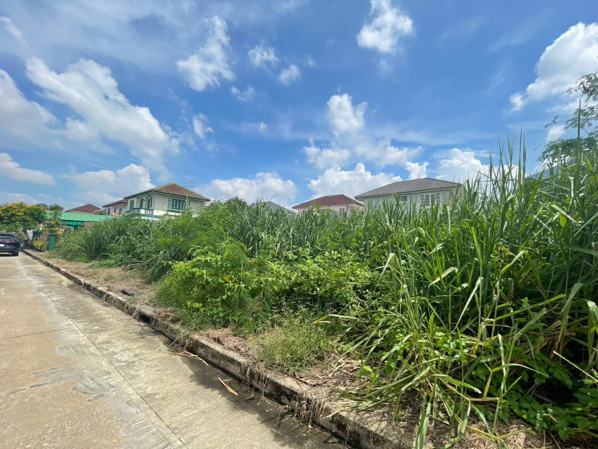 รูป ขายที่ดินเปล่าสองแปลงติดกัน หมู่บ้านวรารมย์ 69 เนื้อที่รวม 140.1 ตรว .(แปลงละ70 ตรว.) - รูปที่ 6/6