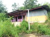 listing thumbnail image 21
