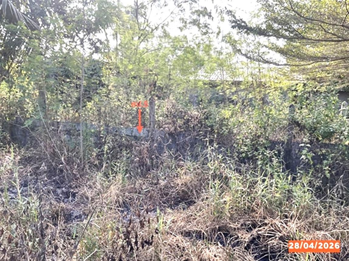 รูป โกดัง 3560.6 ตร.วา เชียรใหญ่ นครศรีธรรมราช 3.7M - รูปที่ 15/21