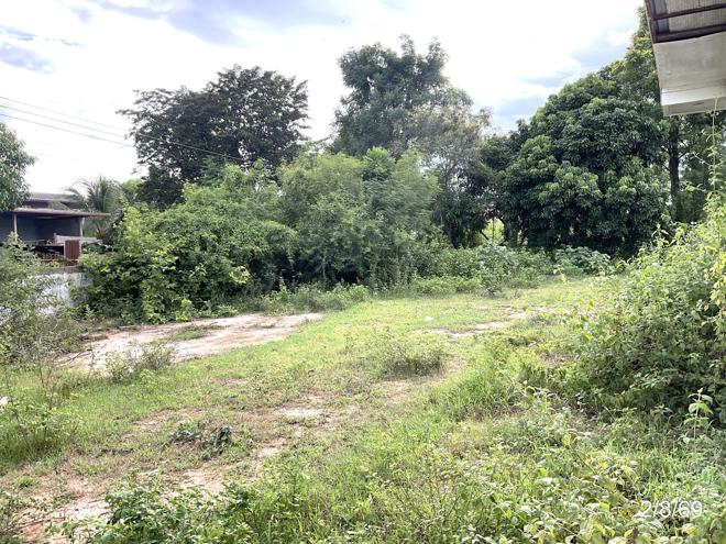 รูป บ้านเดี่ยว 243 ตร.วา ภูเขียว ชัยภูมิ 1.6M - รูปที่ 13/29