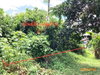 listing thumbnail image 33