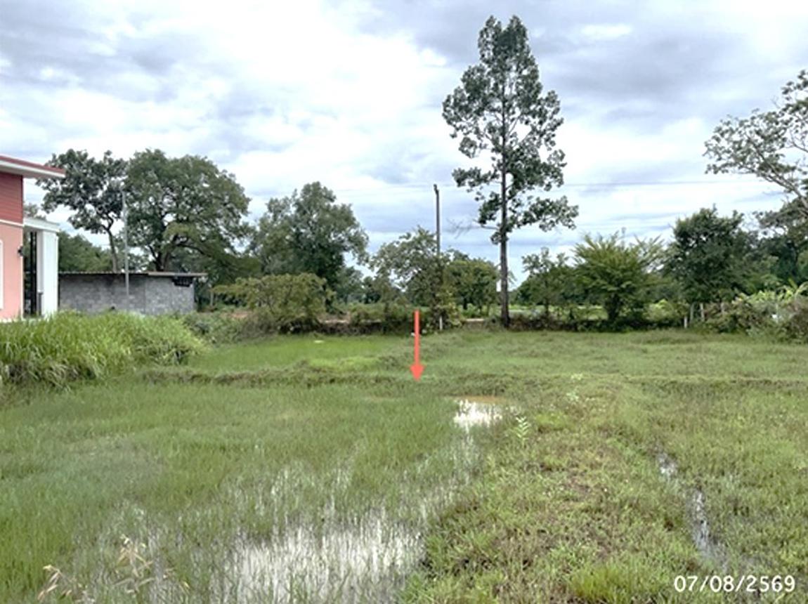 picture LAND 300 Sq.w. Muang Ubon Ratchathani Ubon Ratchathani for 420,000 - 11/15