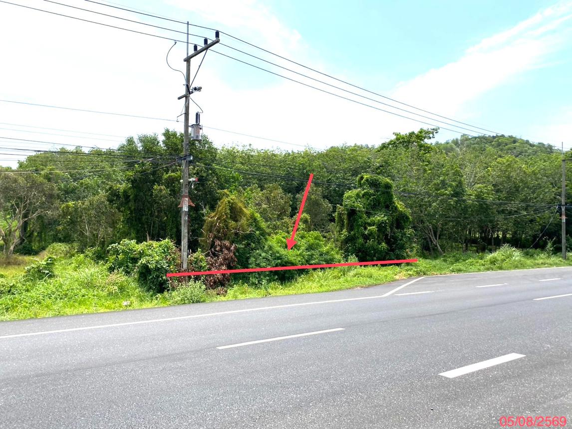 picture LAND 1506 Sq.w. Thepha Songkhla for 4.9M - 9/17