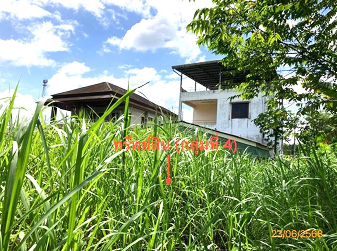 picture LAND 206 Sq.w. Chaiburi Surat Thani for 1.3M - 29/43