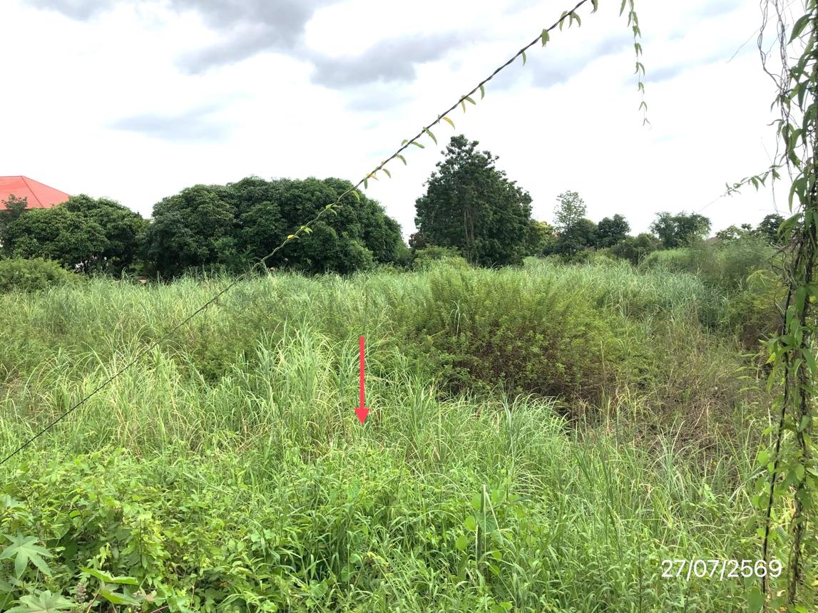 picture LAND 1440 Sq.w. Muang Sukhothai Sukhothai for 8.7M - 27/33