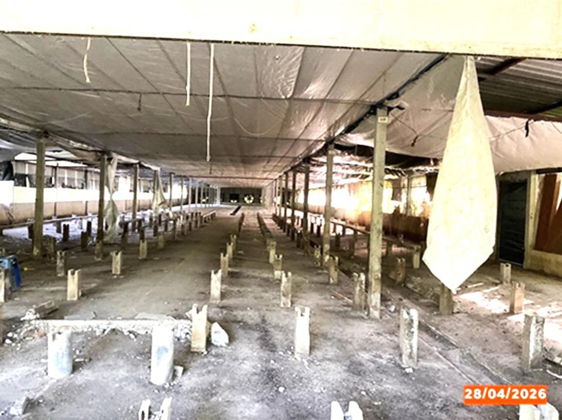 รูป โกดัง 3560.6 ตร.วา เชียรใหญ่ นครศรีธรรมราช 3.7M - รูปที่ 12/21
