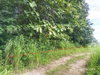 listing thumbnail image 35