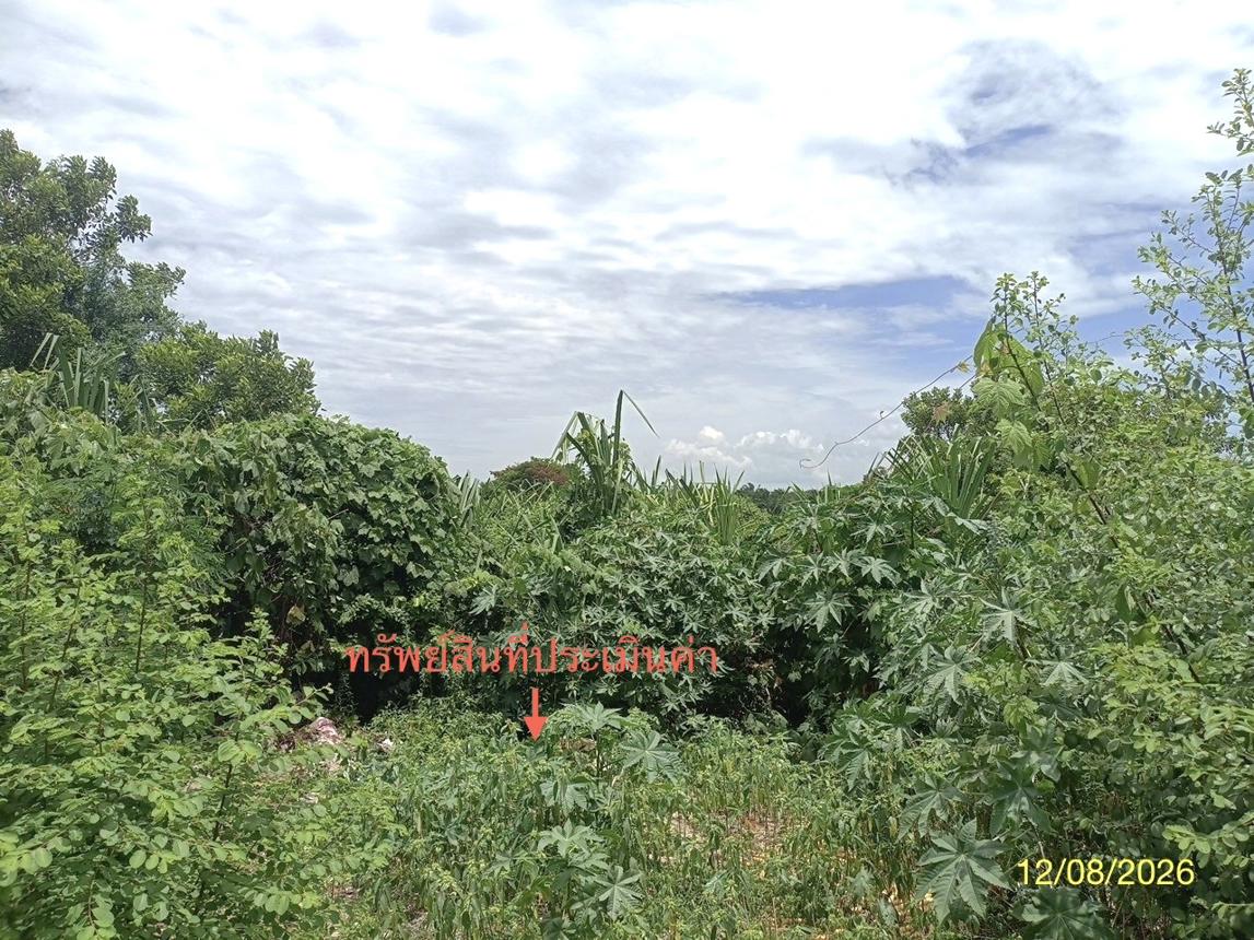 รูป ที่ดินว่างเปล่า 110 ตร.วา เมืองนครศรีธรรมราช นครศรีธรรมราช 1.6M - รูปที่ 15/19