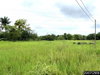 listing thumbnail image 14