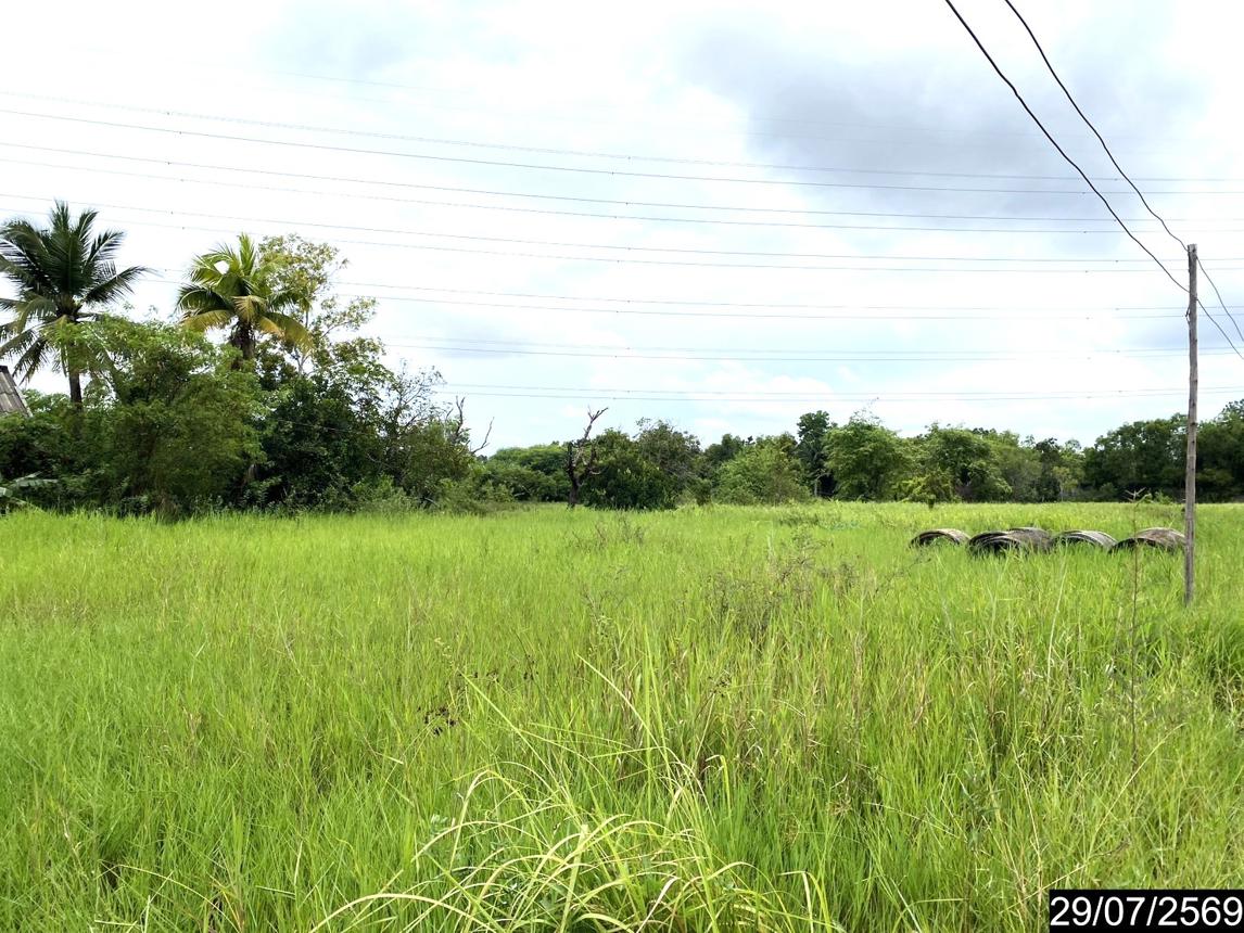 รูป ที่ดินว่างเปล่า 839.2 ตร.วา เมืองอุดรธานี อุดรธานี 1.7M - รูปที่ 15/25