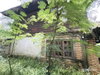 listing thumbnail image 17