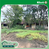 listing thumbnail image 38