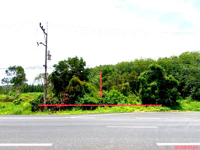ที่ดิน สงขลา : ที่ดินว่างเปล่า 1506 ตร.วา เทพา สงขลา 4.9M