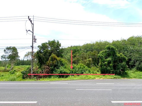 LAND 1506 Sq.w. Thepha Songkhla for 4.9M