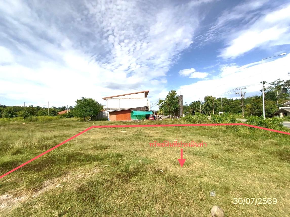 picture LAND 187 Sq.w. Khao Chaison Phatthalung for 2.8M - 14/19