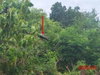 listing thumbnail image 16