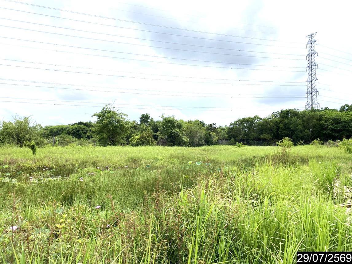 รูป ที่ดินว่างเปล่า 839.2 ตร.วา เมืองอุดรธานี อุดรธานี 1.7M - รูปที่ 16/25
