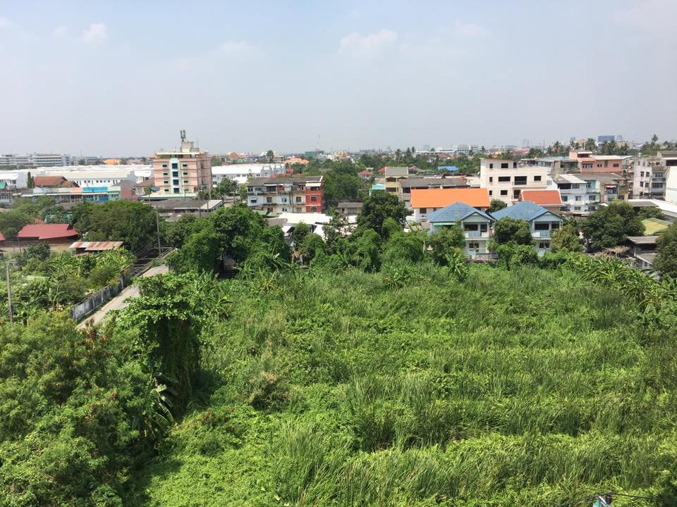 picture Condo for sale: Unio Charan 3, corner unit, city view, bright and airy, includes front-loading washing machine, secure with digital door lock. - 15/19