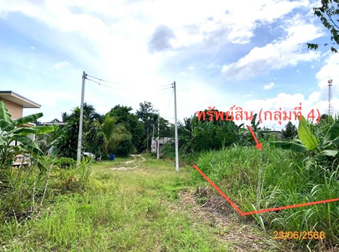 picture LAND 206 Sq.w. Chaiburi Surat Thani for 1.3M - 4/43