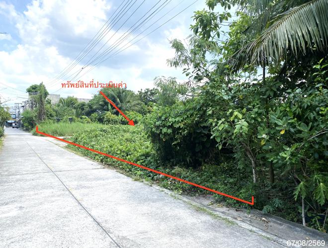 รูป ที่ดินว่างเปล่า 412.5 ตร.วา เมืองพัทลุง พัทลุง 12.8M - รูปที่ 2/17