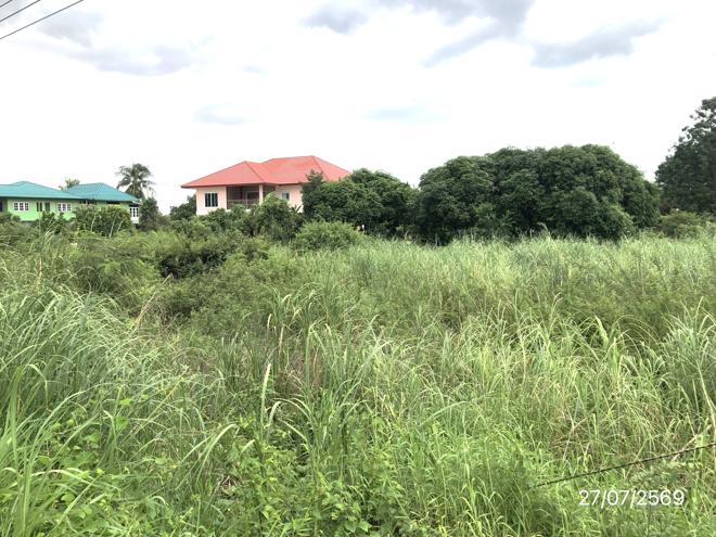 picture LAND 1440 Sq.w. Muang Sukhothai Sukhothai for 8.7M - 15/33
