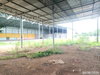 listing thumbnail image 39