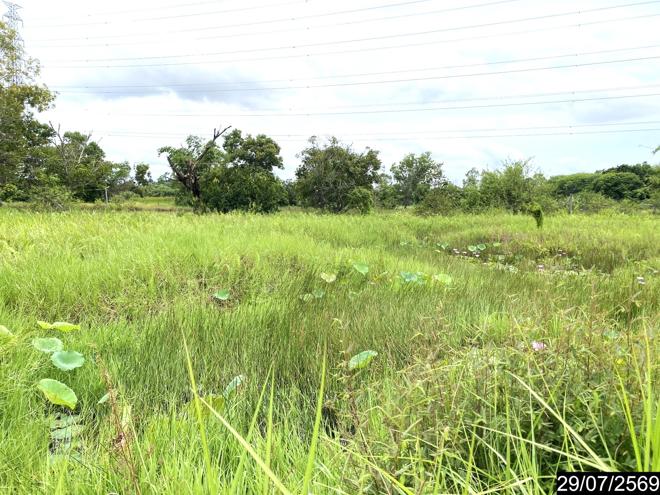 รูป ที่ดินว่างเปล่า 839.2 ตร.วา เมืองอุดรธานี อุดรธานี 1.7M - รูปที่ 7/25