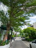 listing thumbnail image 10