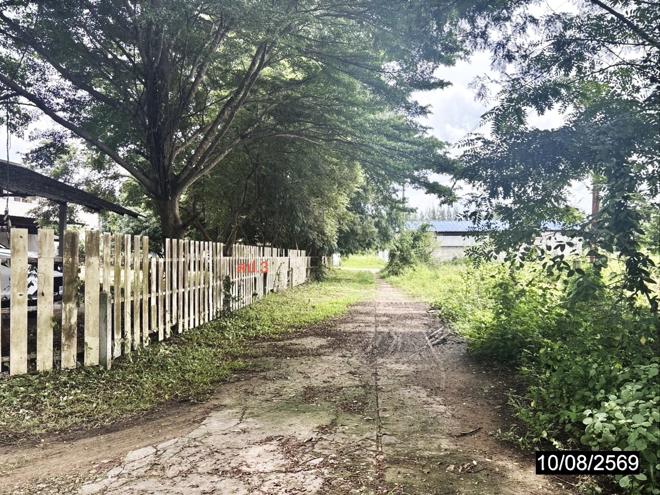 picture FACTORY 250 Sq.w. Kuchinarai Kalasin for 1.7M - 10/25